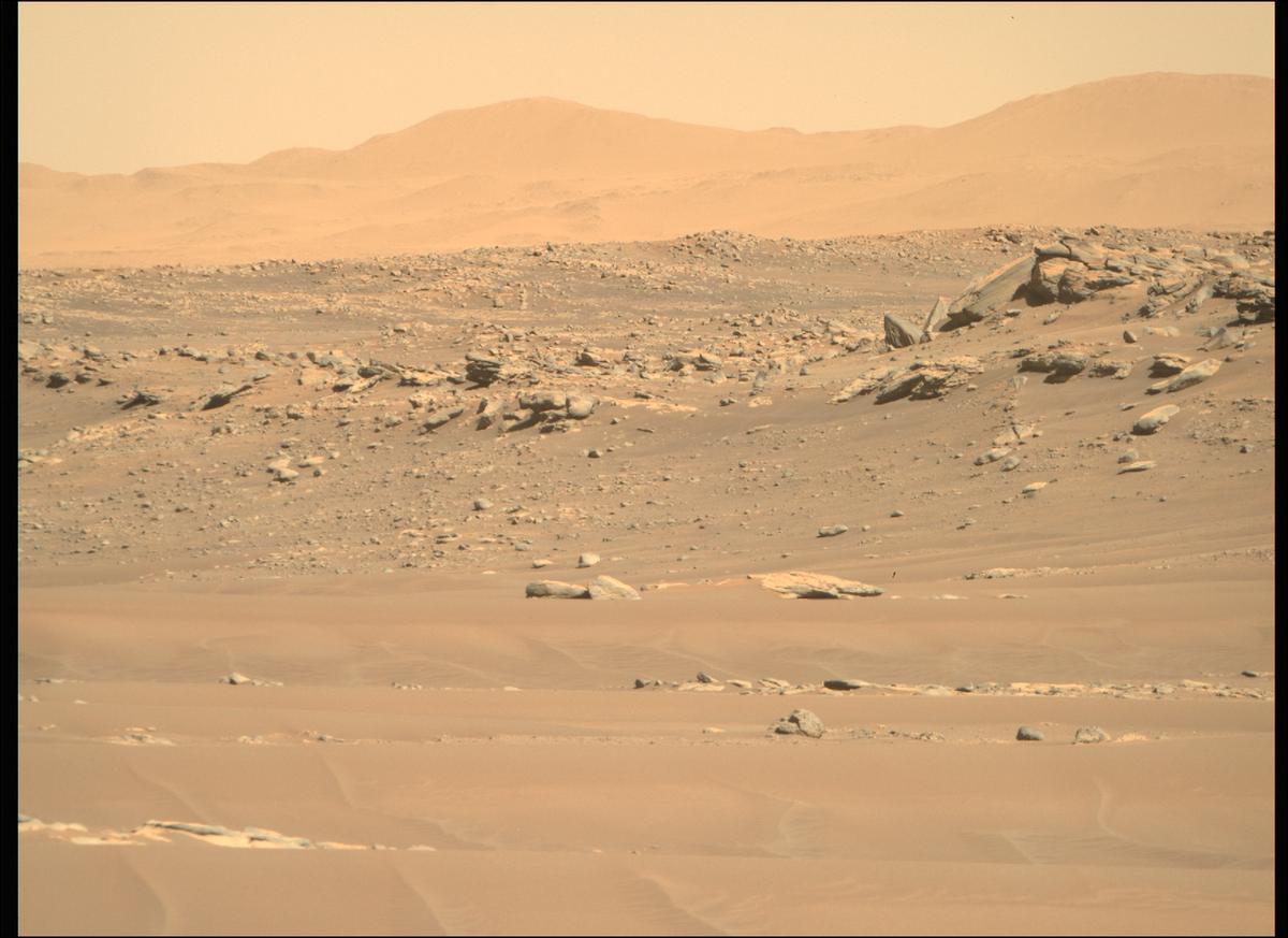 This image was taken by MCZ_RIGHT onboard NASA's Mars rover Perseverance on Sol 282
