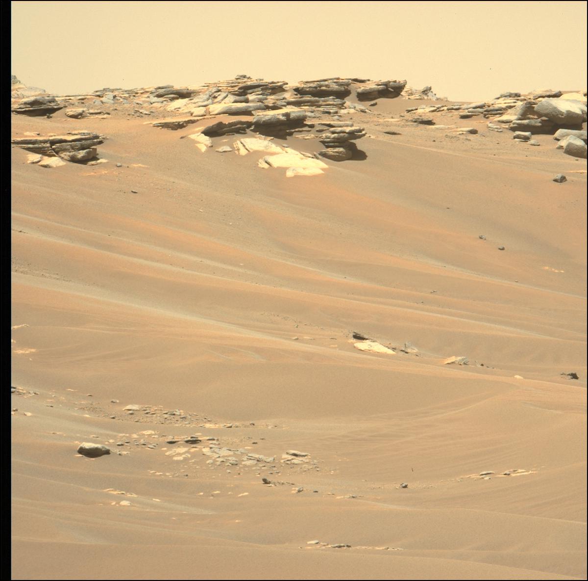 This image was taken by MCZ_LEFT onboard NASA's Mars rover Perseverance on Sol 283