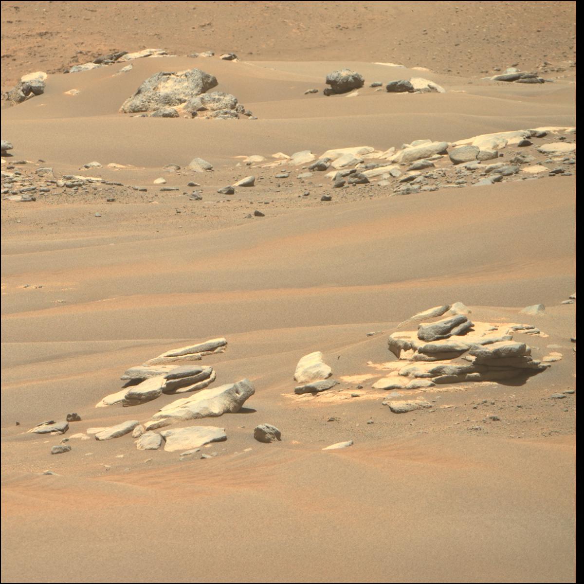 This image was taken by MCZ_RIGHT onboard NASA's Mars rover Perseverance on Sol 283