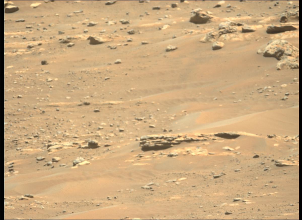 This image was taken by MCZ_LEFT onboard NASA's Mars rover Perseverance on Sol 284