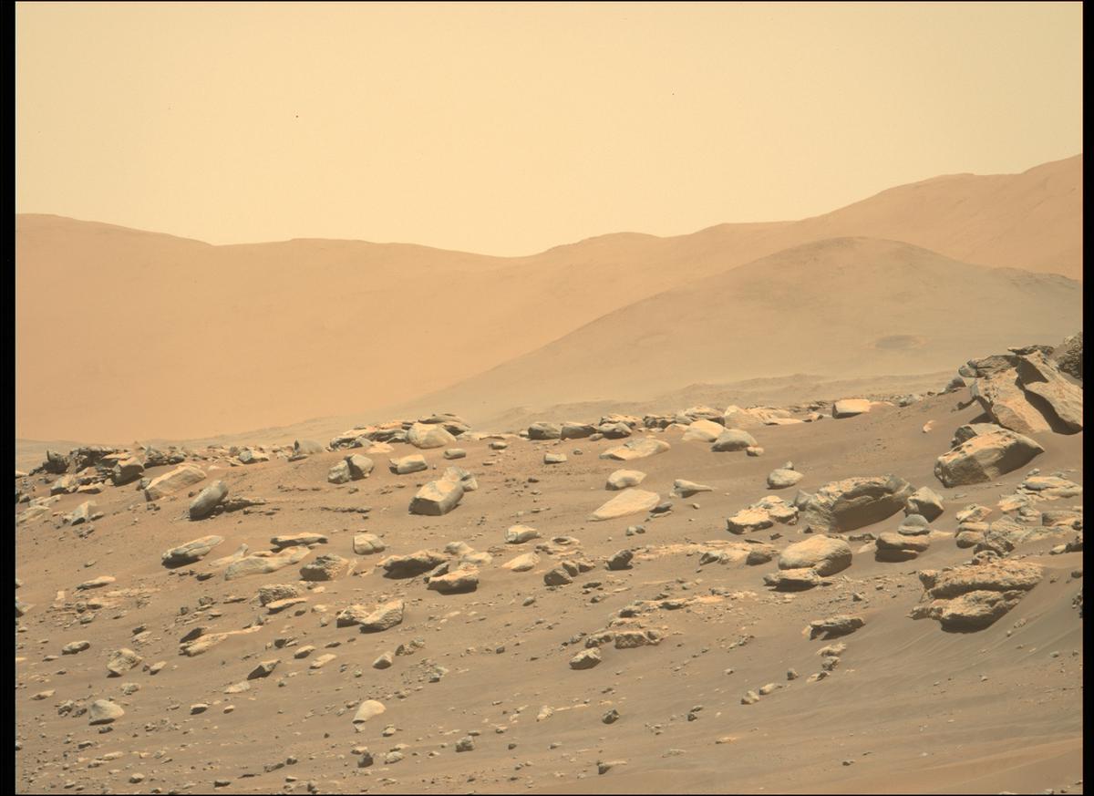 This image was taken by MCZ_LEFT onboard NASA's Mars rover Perseverance on Sol 284