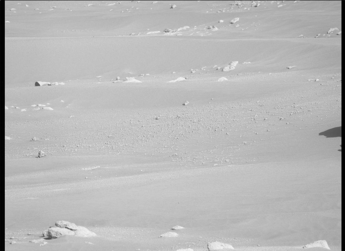 This image was taken by MCZ_LEFT onboard NASA's Mars rover Perseverance on Sol 285