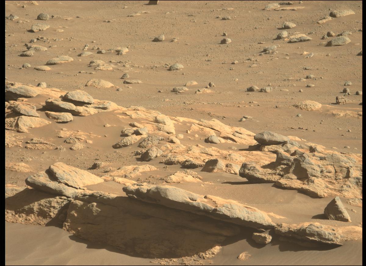 This image was taken by MCZ_LEFT onboard NASA's Mars rover Perseverance on Sol 285