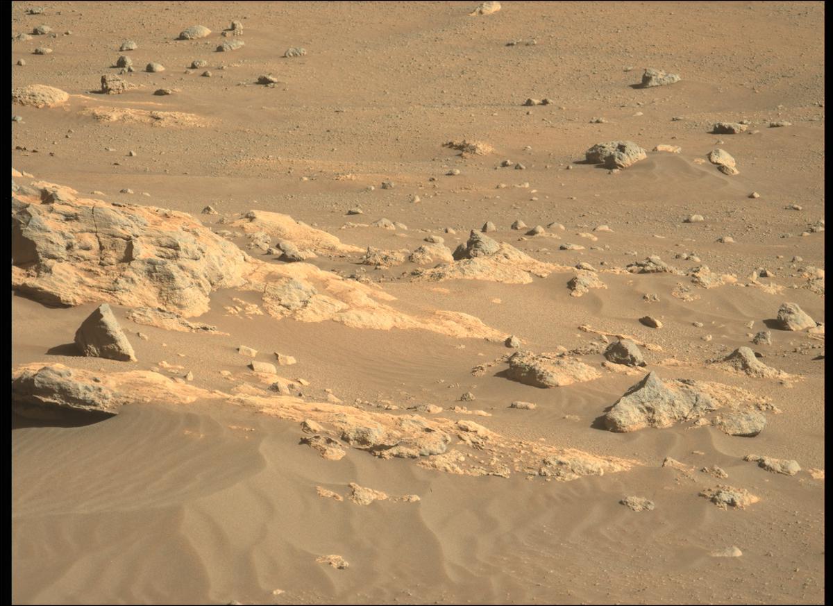 This image was taken by MCZ_LEFT onboard NASA's Mars rover Perseverance on Sol 285