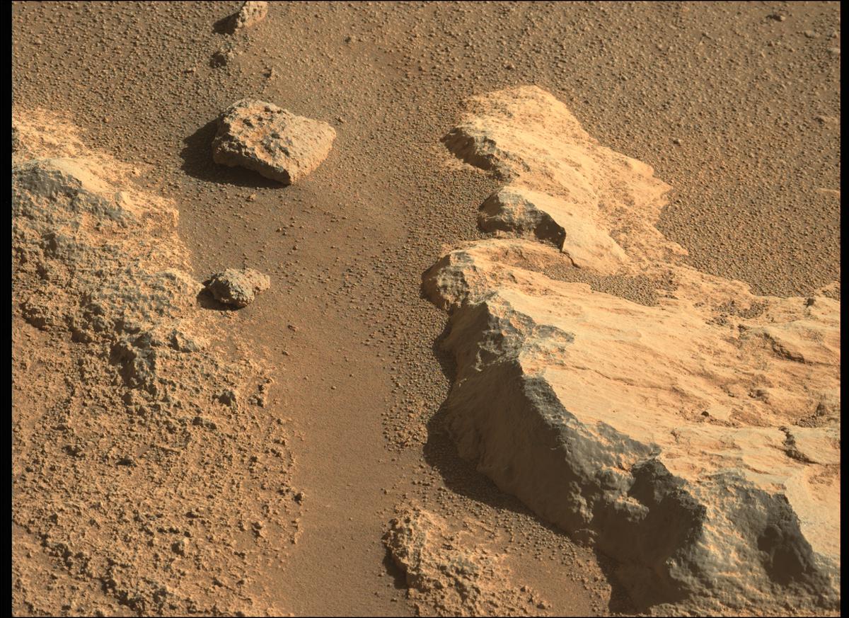 This image was taken by MCZ_LEFT onboard NASA's Mars rover Perseverance on Sol 286