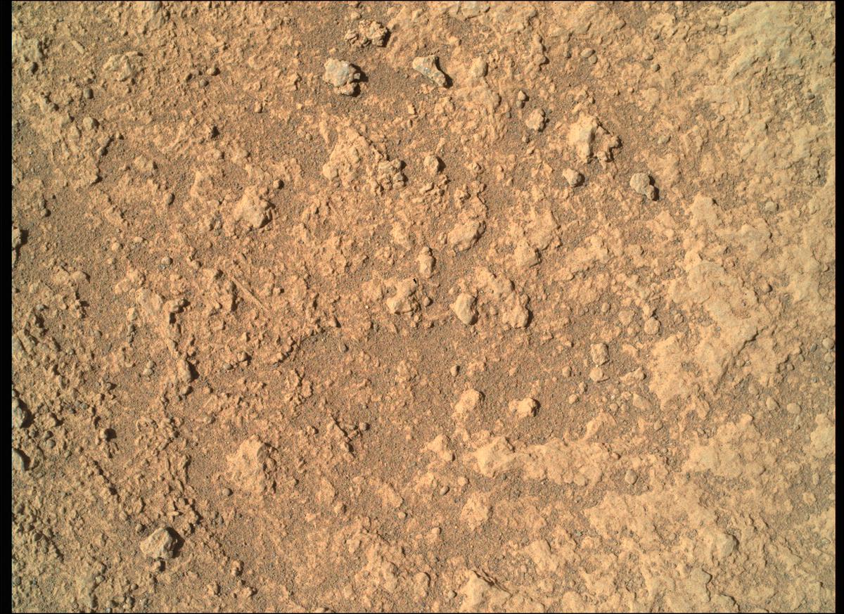 This image was taken by SHERLOC_WATSON onboard NASA's Mars rover Perseverance on Sol 287