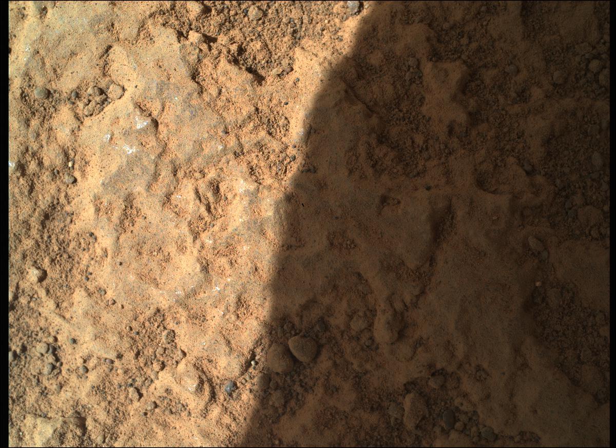 This image was taken by SHERLOC_WATSON onboard NASA's Mars rover Perseverance on Sol 287