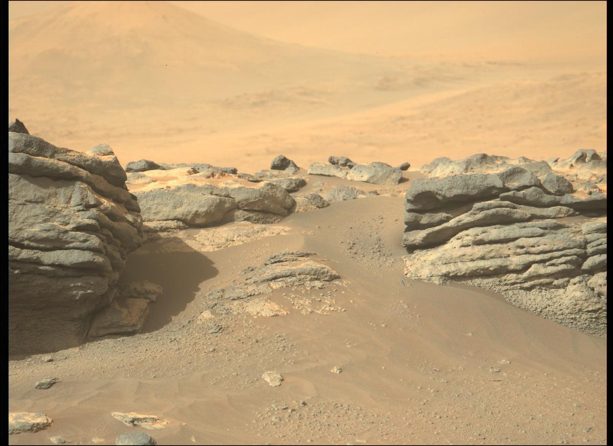 This image was taken by MCZ_LEFT onboard NASA's Mars rover Perseverance on Sol 288