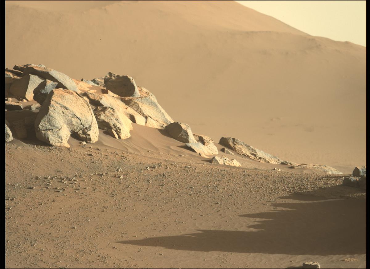 This image was taken by MCZ_LEFT onboard NASA's Mars rover Perseverance on Sol 289