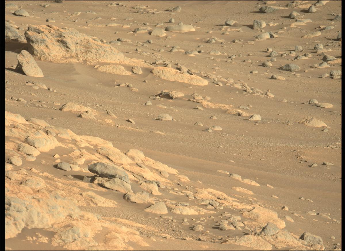 This image was taken by MCZ_LEFT onboard NASA's Mars rover Perseverance on Sol 289