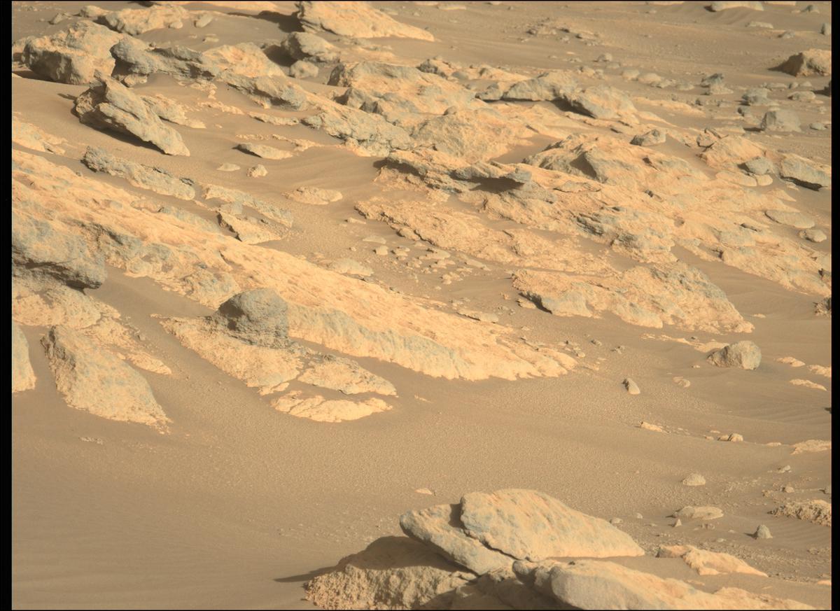 This image was taken by MCZ_LEFT onboard NASA's Mars rover Perseverance on Sol 289