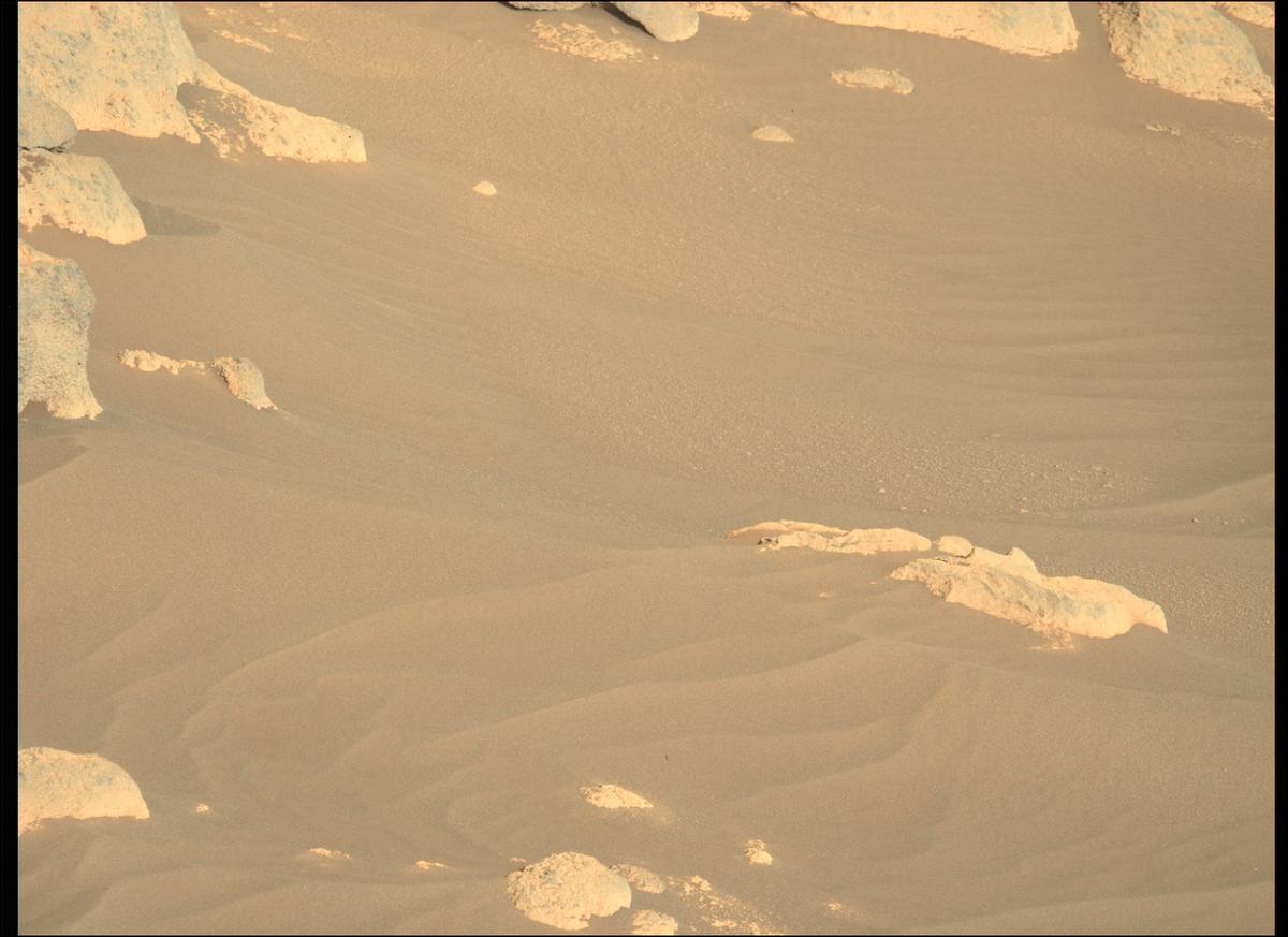 This image was taken by MCZ_LEFT onboard NASA's Mars rover Perseverance on Sol 289