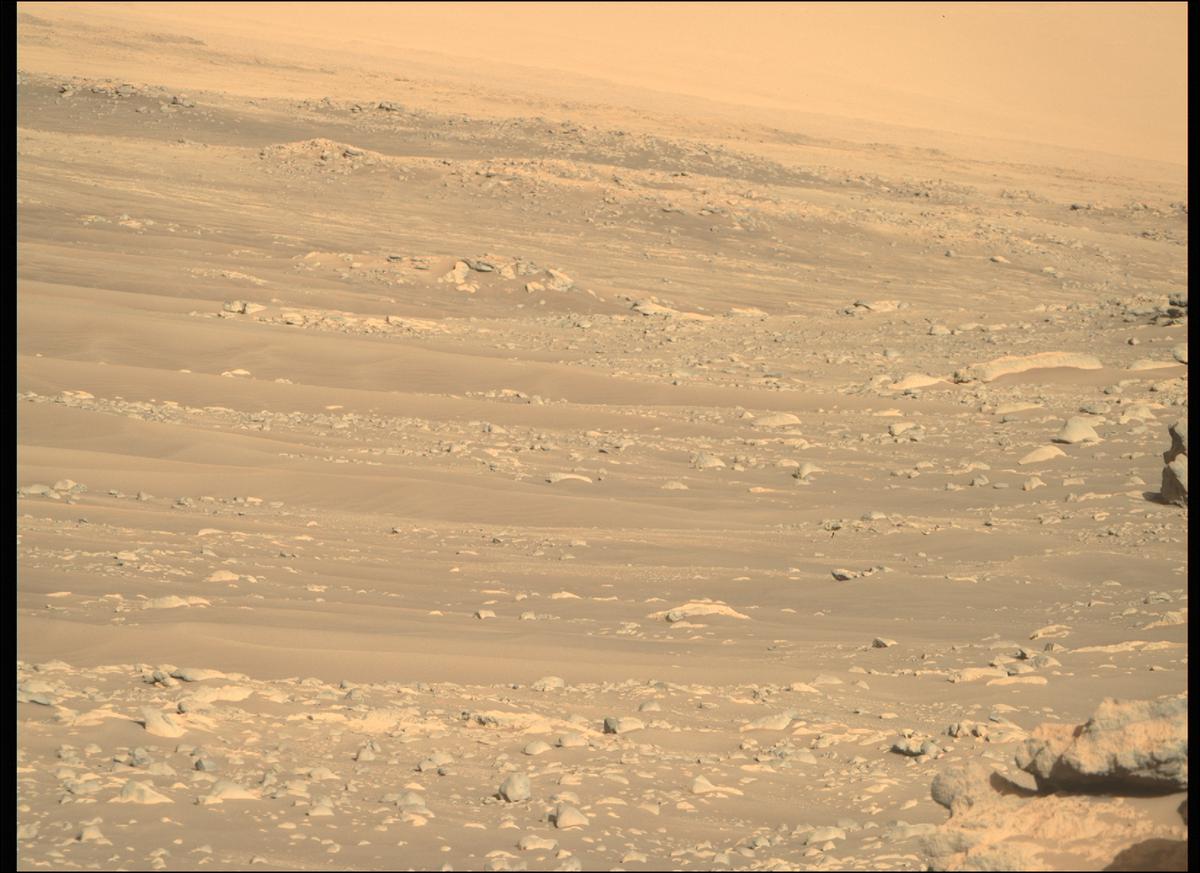 This image was taken by MCZ_RIGHT onboard NASA's Mars rover Perseverance on Sol 289