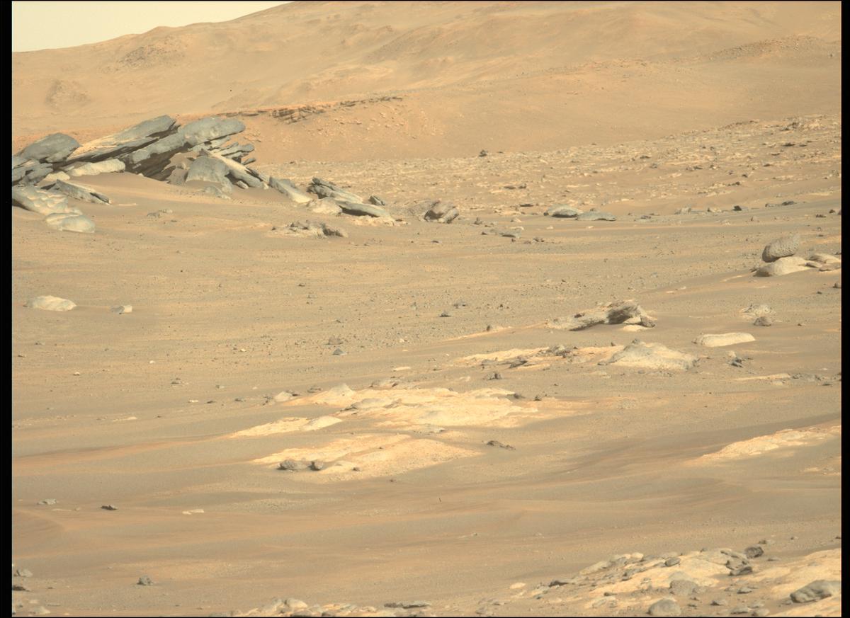 This image was taken by MCZ_LEFT onboard NASA's Mars rover Perseverance on Sol 290