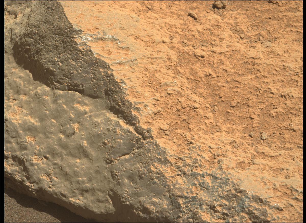 This image was taken by MCZ_LEFT onboard NASA's Mars rover Perseverance on Sol 290