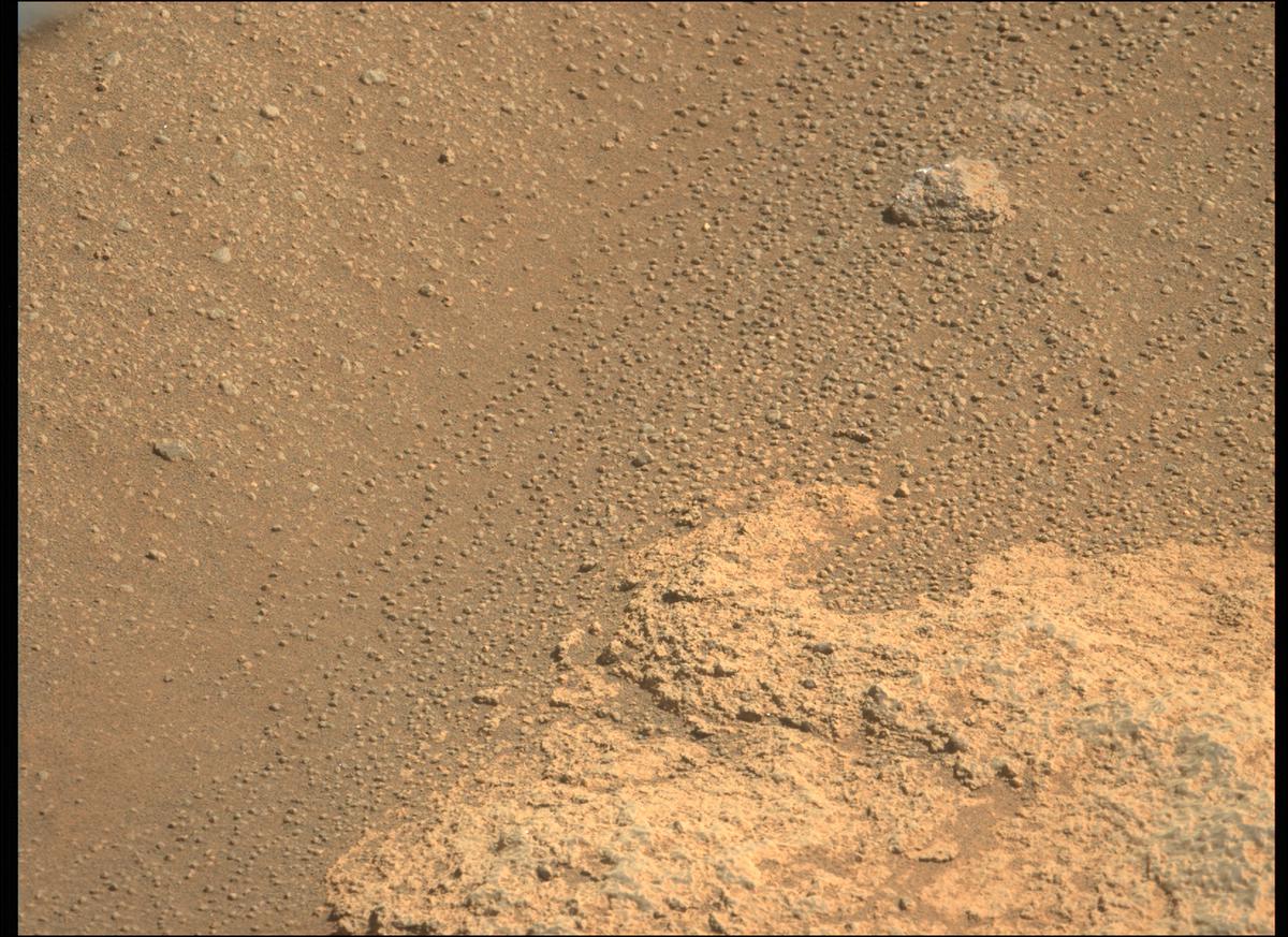 This image was taken by MCZ_LEFT onboard NASA's Mars rover Perseverance on Sol 290