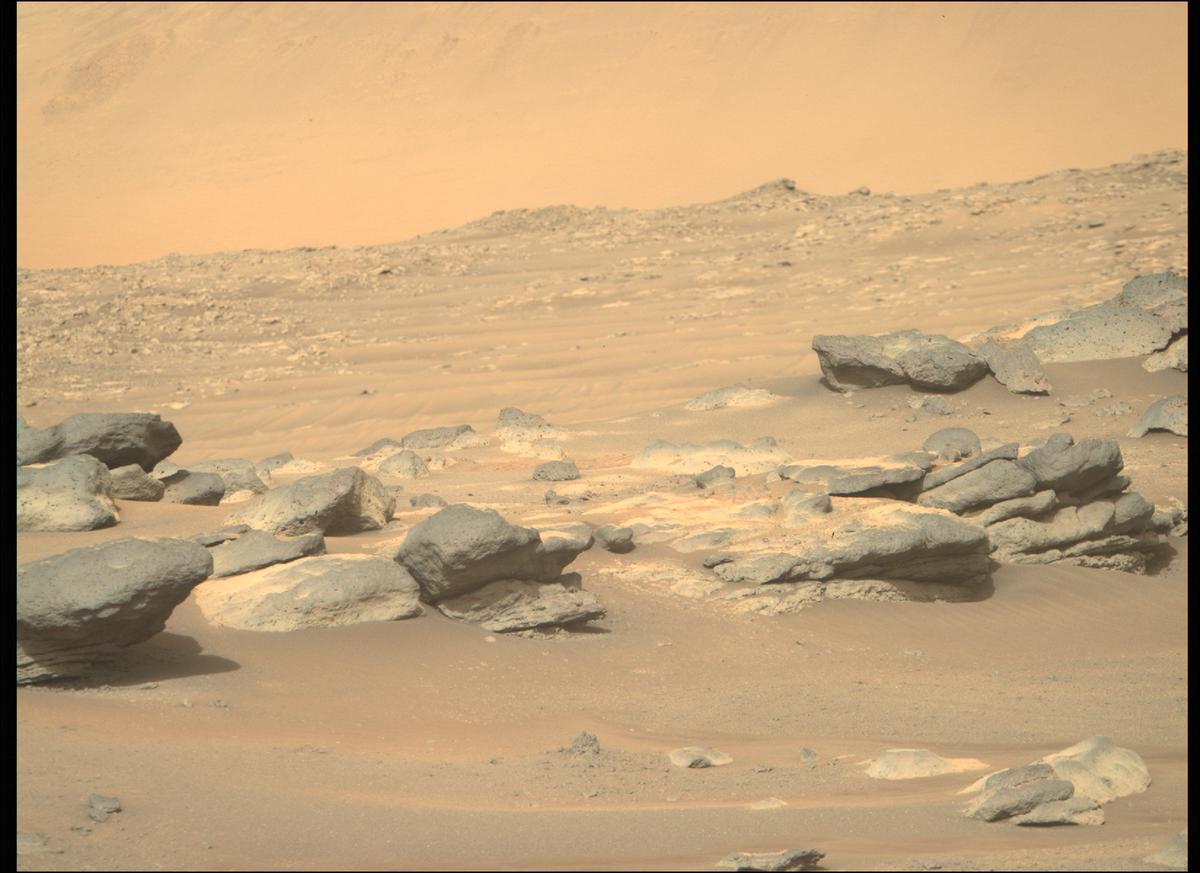 This image was taken by MCZ_RIGHT onboard NASA's Mars rover Perseverance on Sol 290