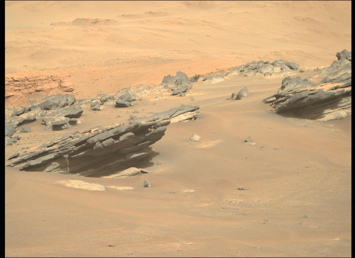 This image was taken by MCZ_RIGHT onboard NASA's Mars rover Perseverance on Sol 290