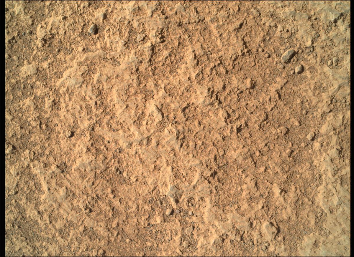 This image was taken by SHERLOC_WATSON onboard NASA's Mars rover Perseverance on Sol 291