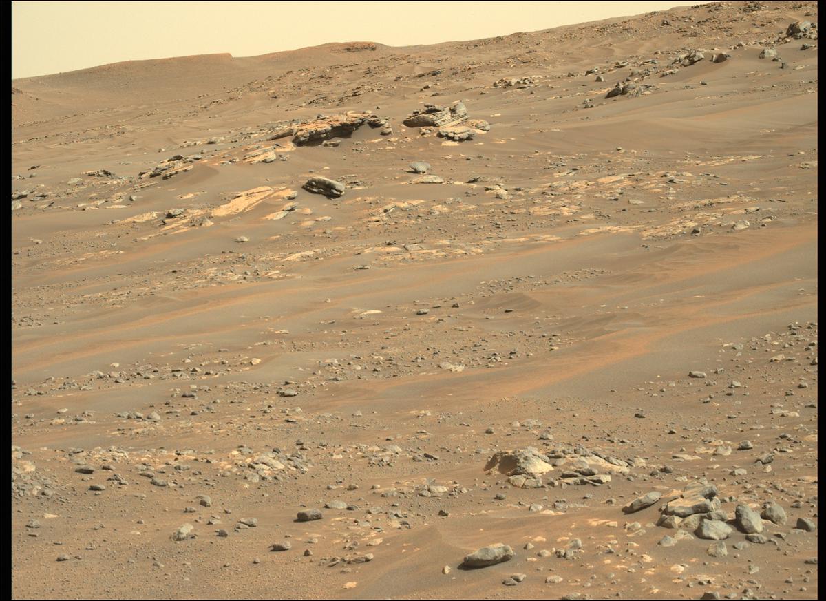 This image was taken by MCZ_LEFT onboard NASA's Mars rover Perseverance on Sol 292