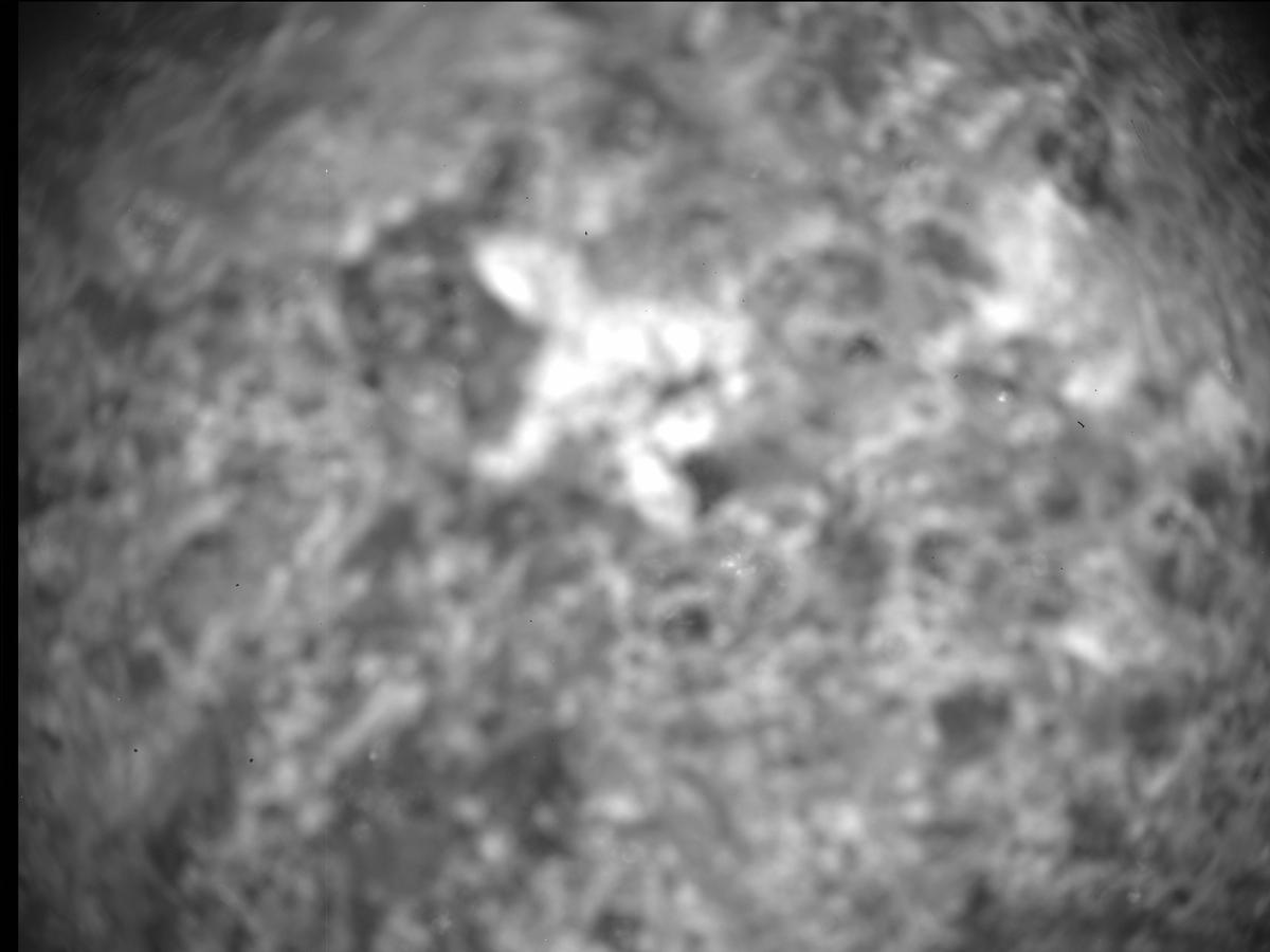 This image was taken by SHERLOC_ACI onboard NASA's Mars rover Perseverance on Sol 293