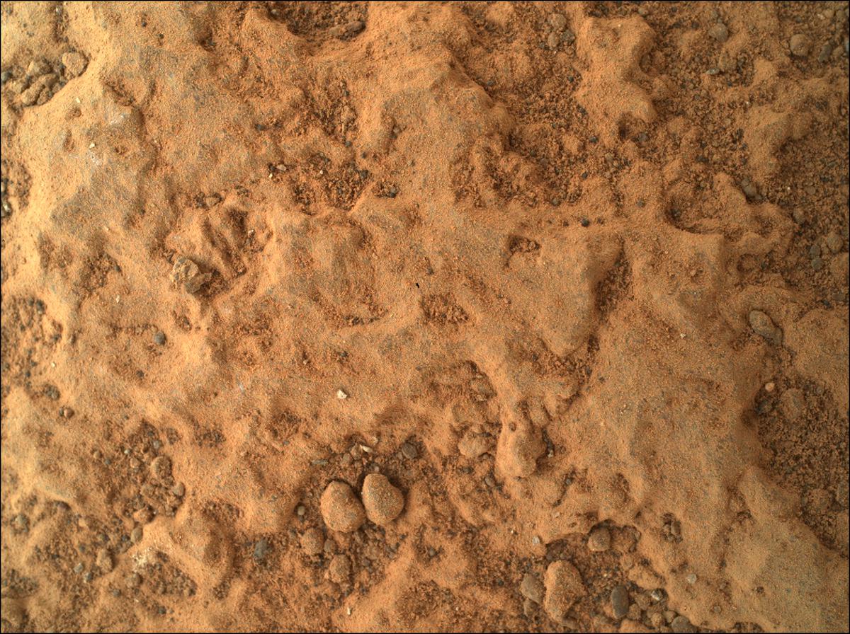This image was taken by SHERLOC_WATSON onboard NASA's Mars rover Perseverance on Sol 293