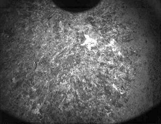 View image taken on Mars, Mars Perseverance Sol 294: PIXL Camera 