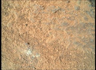 View image taken on Mars, Mars Perseverance Sol 294: WATSON Camera 