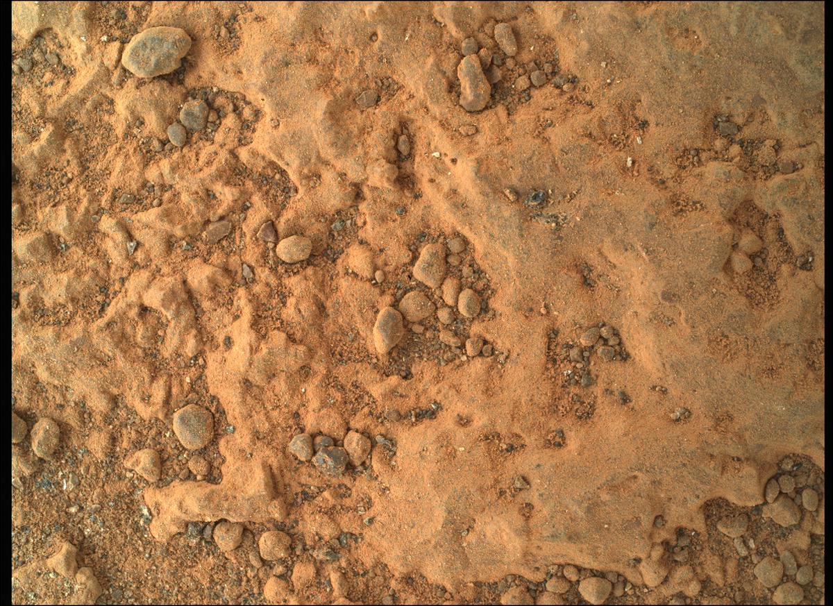 This image was taken by SHERLOC_WATSON onboard NASA's Mars rover Perseverance on Sol 294