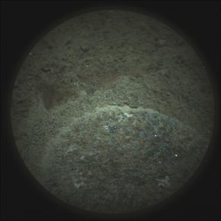 View image taken on Mars, Mars Perseverance Sol 295: SuperCam Camera