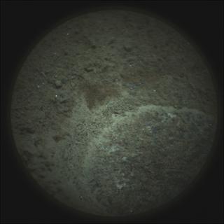 View image taken on Mars, Mars Perseverance Sol 295: SuperCam Camera