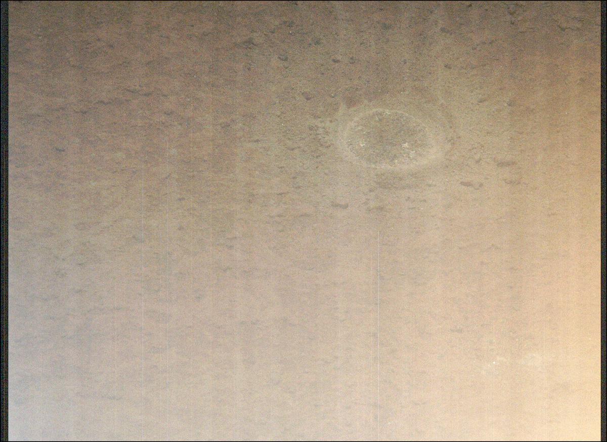 This image was taken by MCZ_LEFT onboard NASA's Mars rover Perseverance on Sol 295