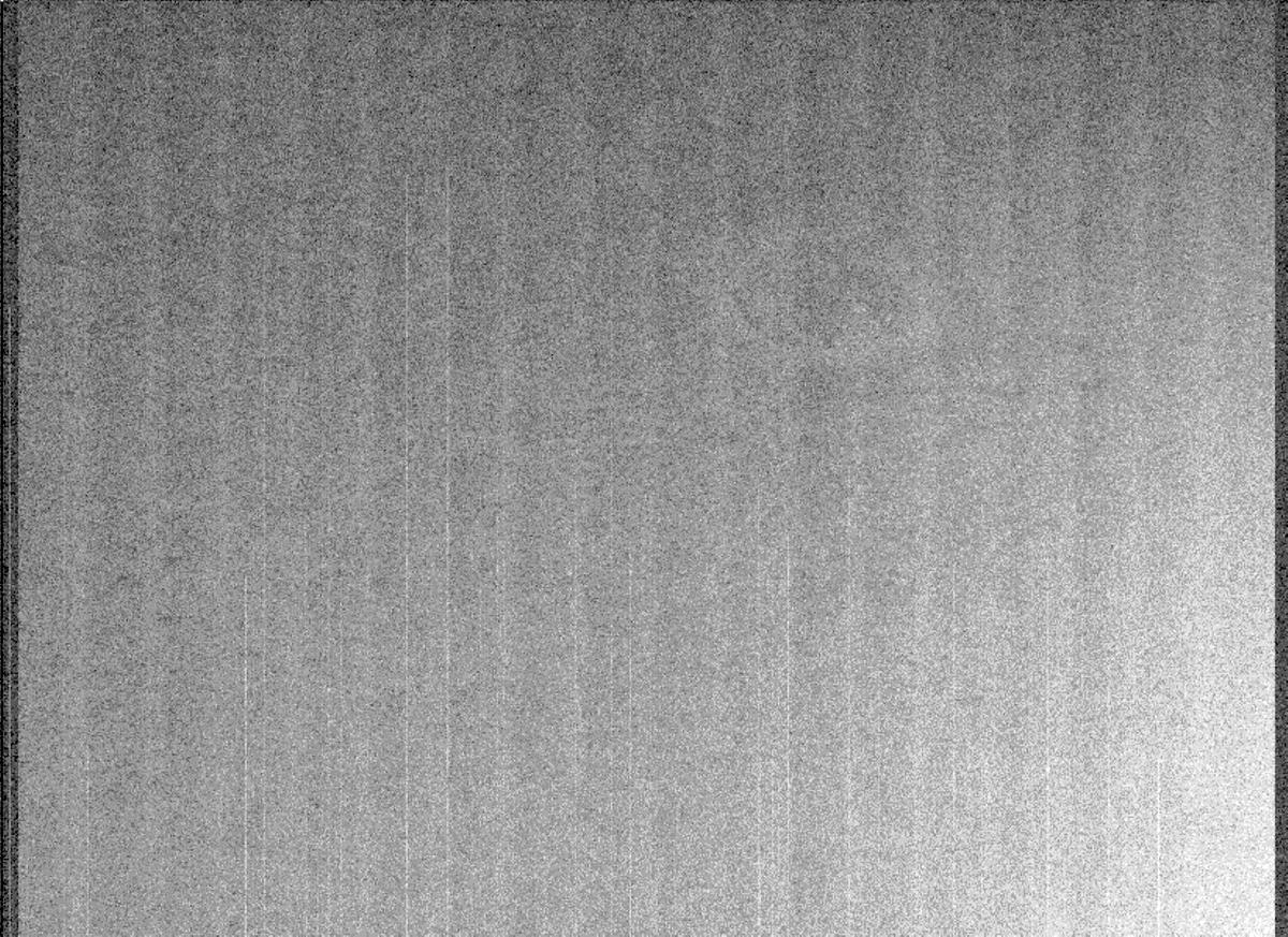 This image was taken by MCZ_LEFT onboard NASA's Mars rover Perseverance on Sol 295