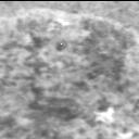View image taken on Mars, Mars Perseverance Sol 295: Right Mastcam-Z Camera