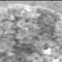 View image taken on Mars, Mars Perseverance Sol 295: Right Mastcam-Z Camera