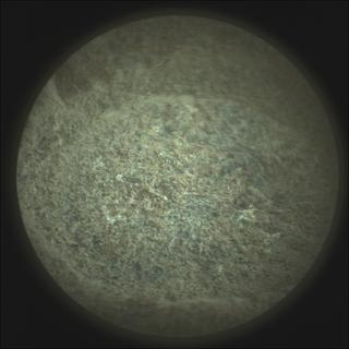 View image taken on Mars, Mars Perseverance Sol 296: SuperCam Camera