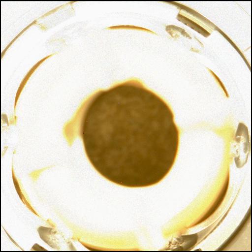 This image was taken by MCZ_LEFT onboard NASA's Mars rover Perseverance on Sol 296