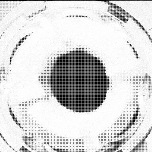 This image was taken by MCZ_LEFT onboard NASA's Mars rover Perseverance on Sol 296