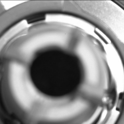 This image was taken by MCZ_RIGHT onboard NASA's Mars rover Perseverance on Sol 296