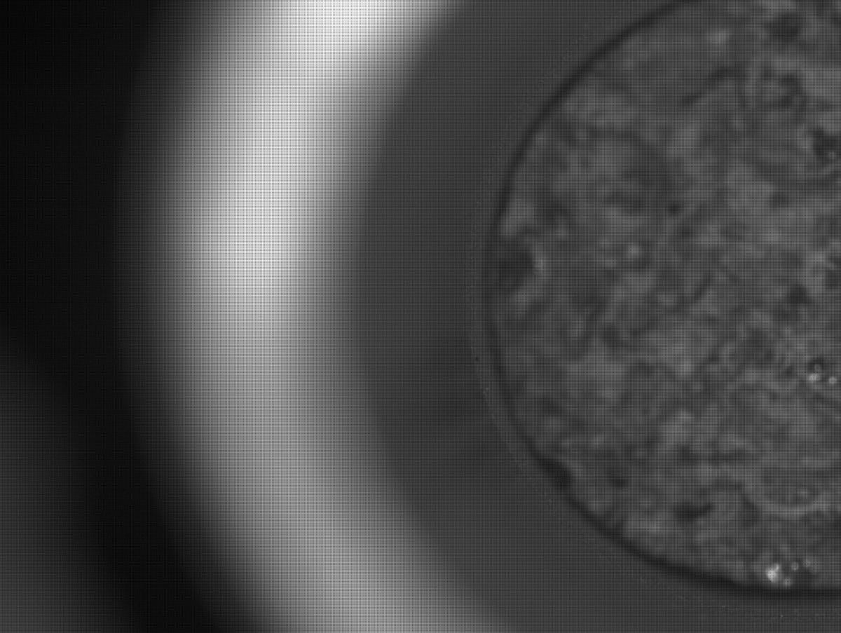 This image was taken by CACHECAM onboard NASA's Mars rover Perseverance on Sol 298