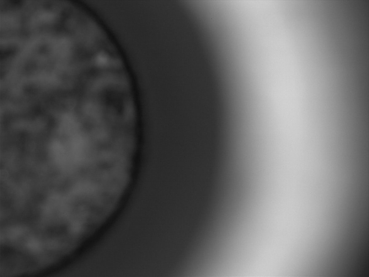 This image was taken by CACHECAM onboard NASA's Mars rover Perseverance on Sol 298