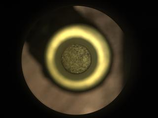 View image taken on Mars, Mars Perseverance Sol 298: Sample Caching System Camera (CacheCam)