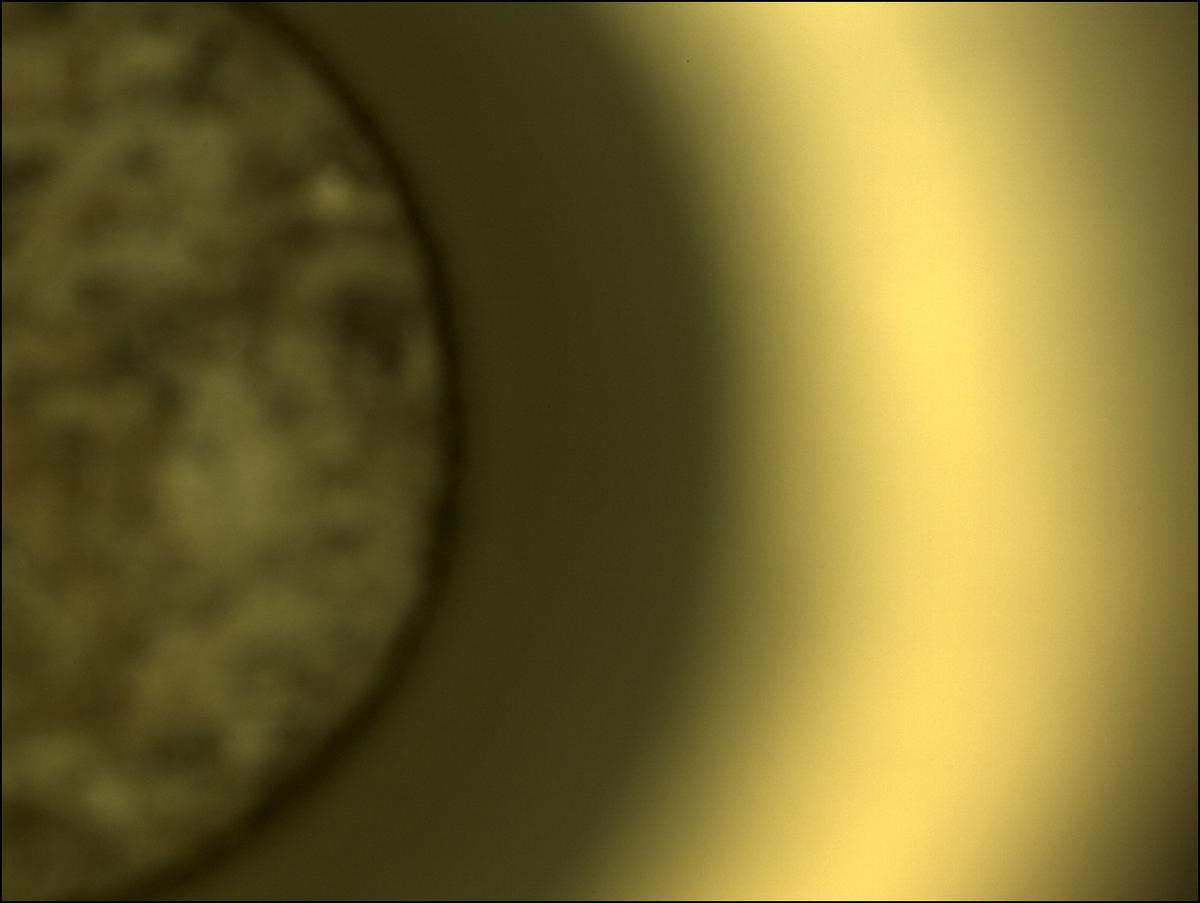 This image was taken by CACHECAM onboard NASA's Mars rover Perseverance on Sol 298