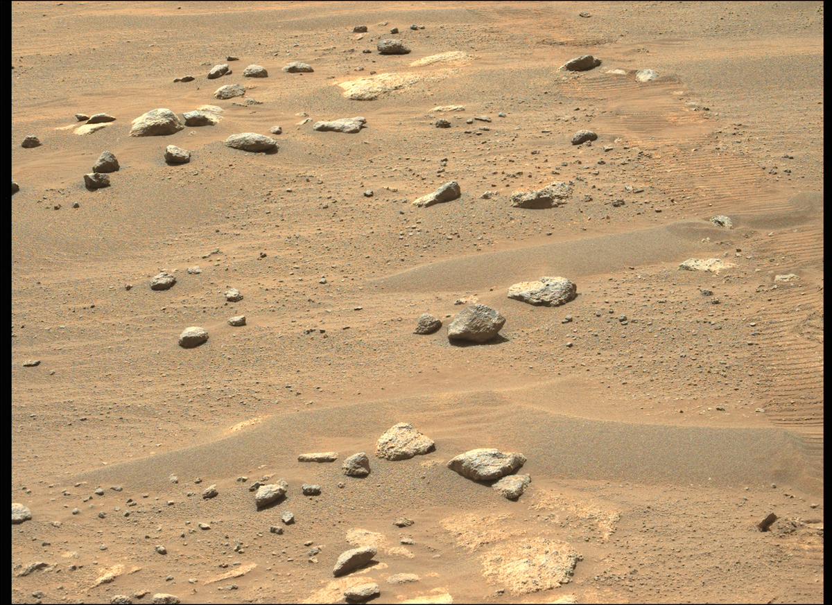 This image was taken by MCZ_LEFT onboard NASA's Mars rover Perseverance on Sol 298