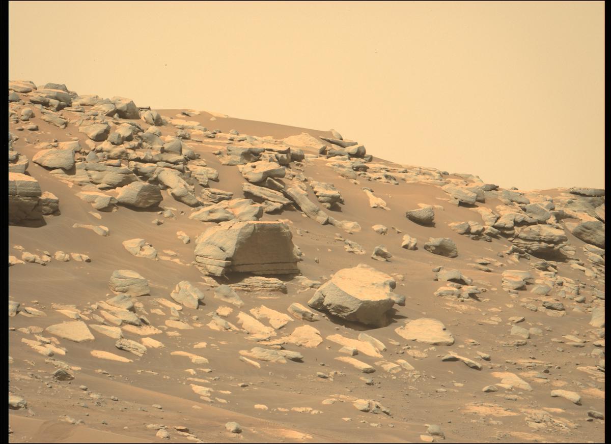 This image was taken by MCZ_LEFT onboard NASA's Mars rover Perseverance on Sol 298