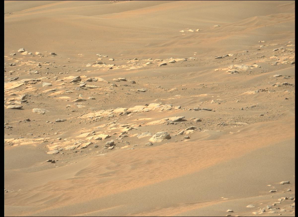 This image was taken by MCZ_LEFT onboard NASA's Mars rover Perseverance on Sol 298