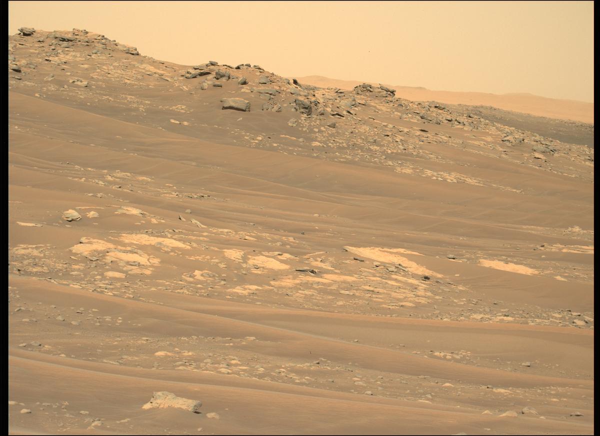 This image was taken by MCZ_LEFT onboard NASA's Mars rover Perseverance on Sol 298