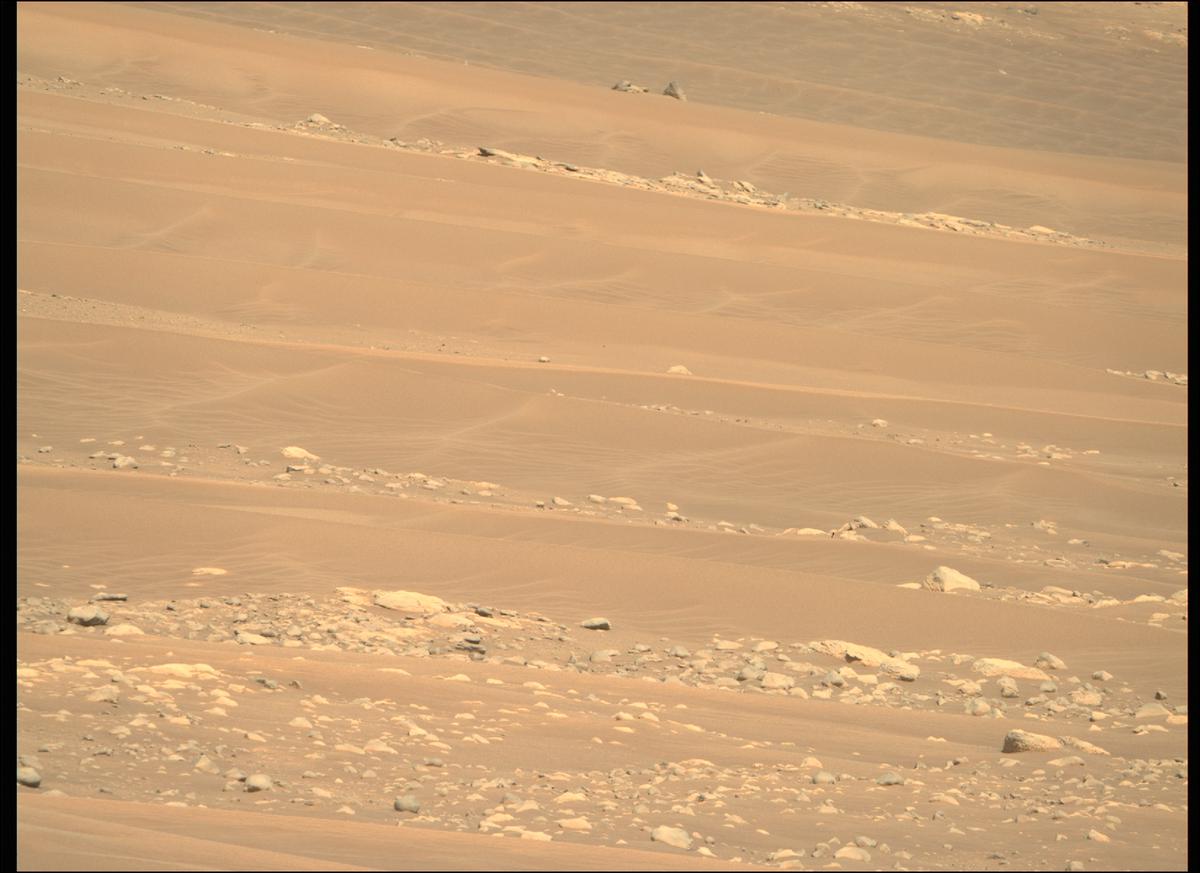 This image was taken by MCZ_RIGHT onboard NASA's Mars rover Perseverance on Sol 298