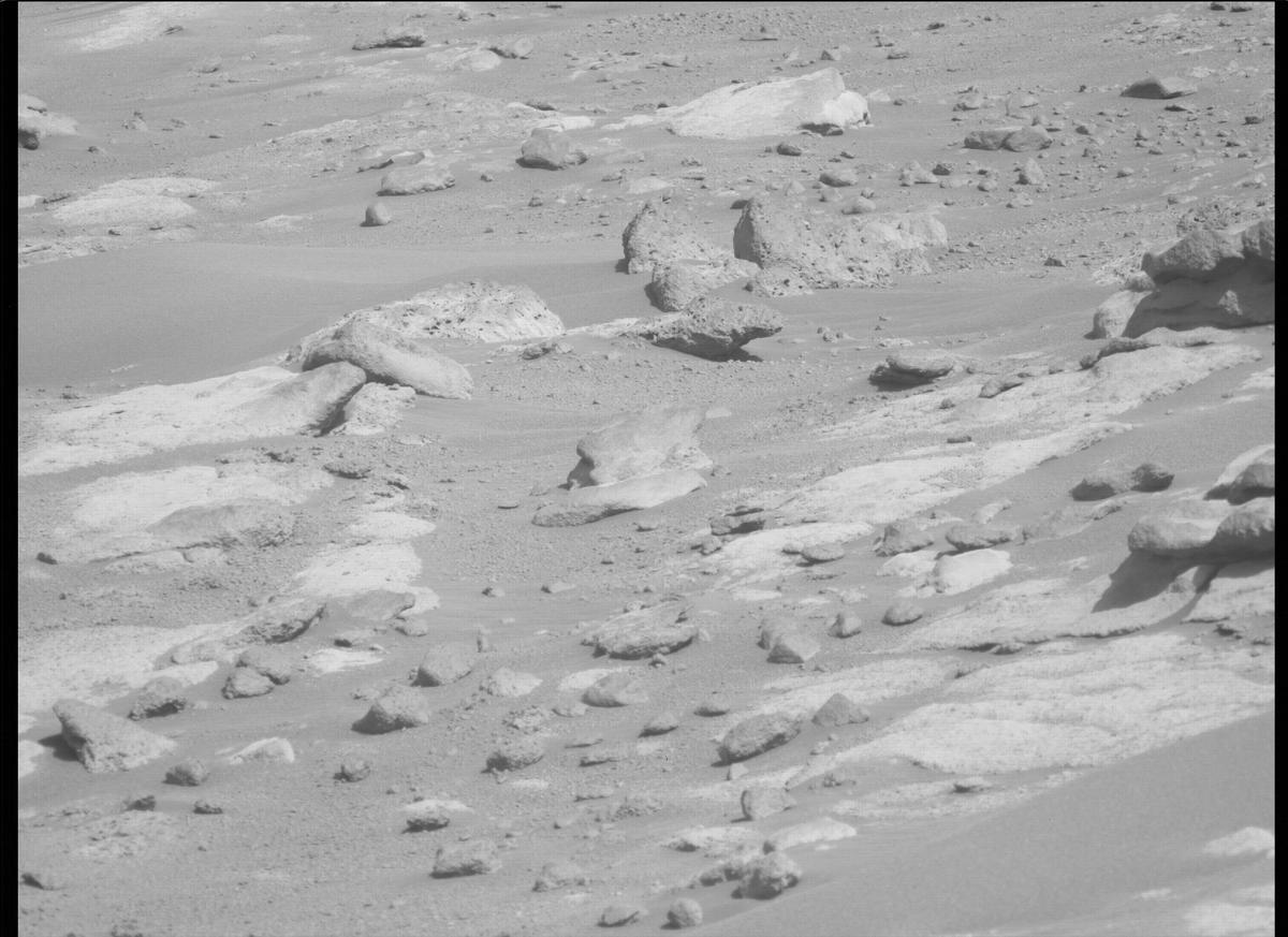 This image was taken by MCZ_LEFT onboard NASA's Mars rover Perseverance on Sol 299