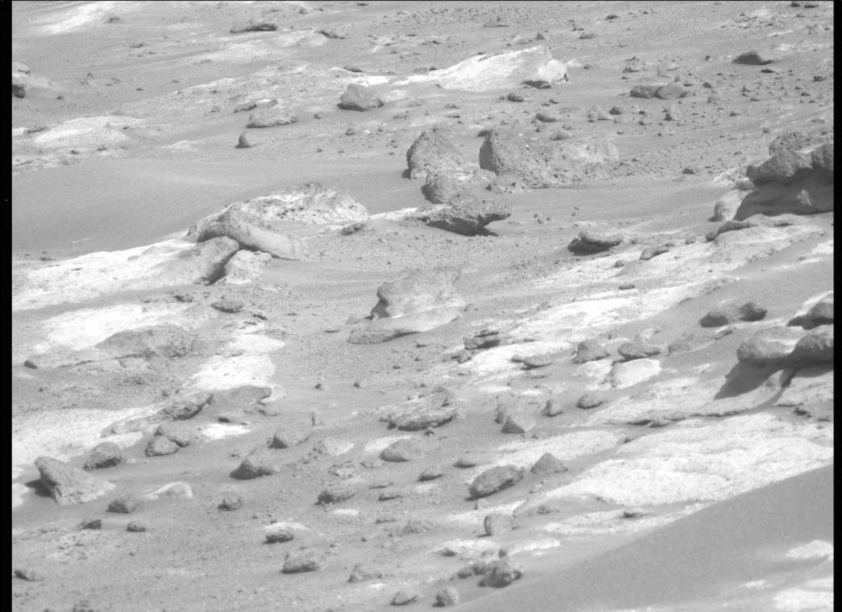 This image was taken by MCZ_LEFT onboard NASA's Mars rover Perseverance on Sol 299
